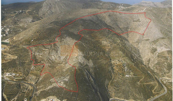 Οικόπεδο - Plot